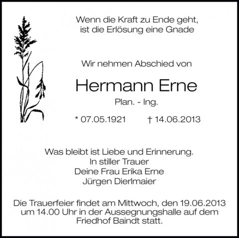 Hermann Erne